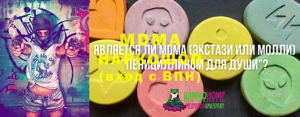 ГАЛЛЮЦИНОГЕННЫЕ ГРИБЫ Бородино