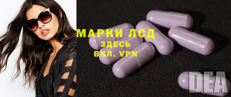 ЛСД экстази ecstasy  купить наркотики цена  Гусев 